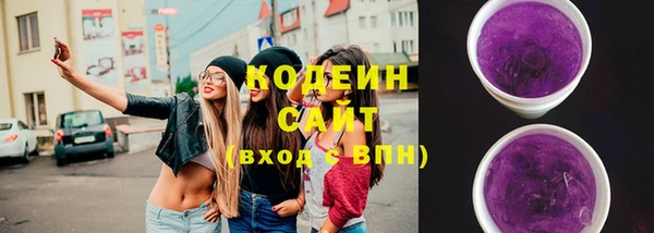 шишки Богородицк