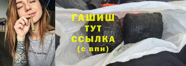 эйфоретик Богданович
