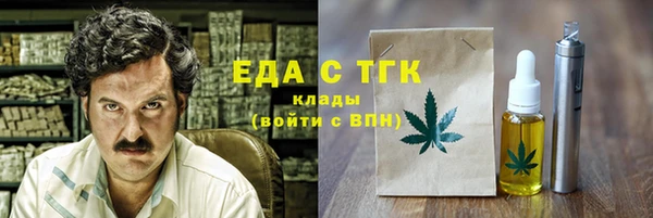 индика Бородино