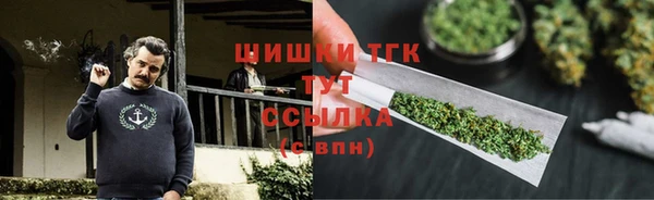 индика Бородино