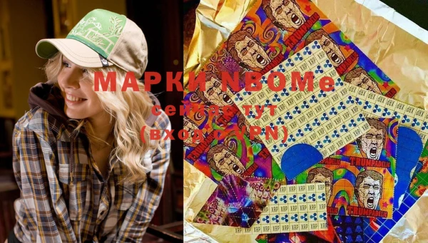 индика Бородино