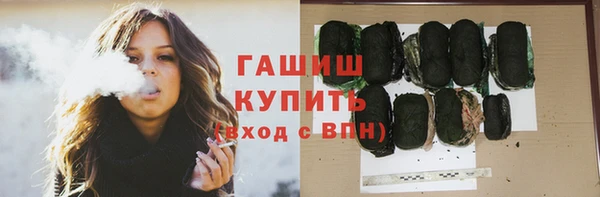 индика Бородино