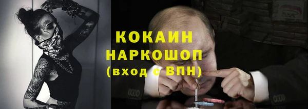 эйфоретик Богданович
