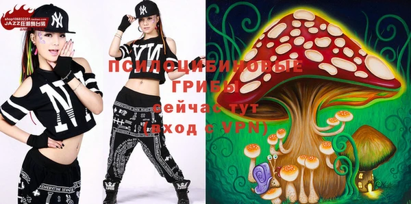 шишки Богородицк