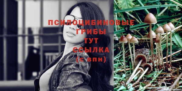 шишки Богородицк