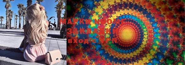 индика Бородино