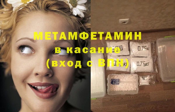 индика Бородино
