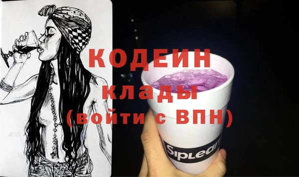 шишки Богородицк
