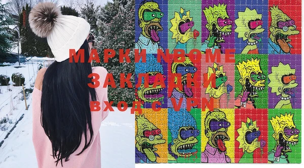 шишки Богородицк