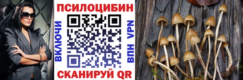 где купить наркоту Горняк Псилоцибиновые грибы GOLDEN TEACHER
